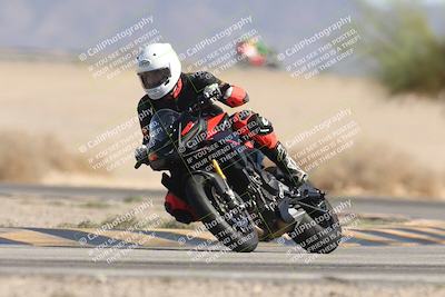 media/Oct-13-2025-Moto Forza (Mon) [[a66d839500]]/3-B Group/Session 4 Turn 4 Tree of Life/